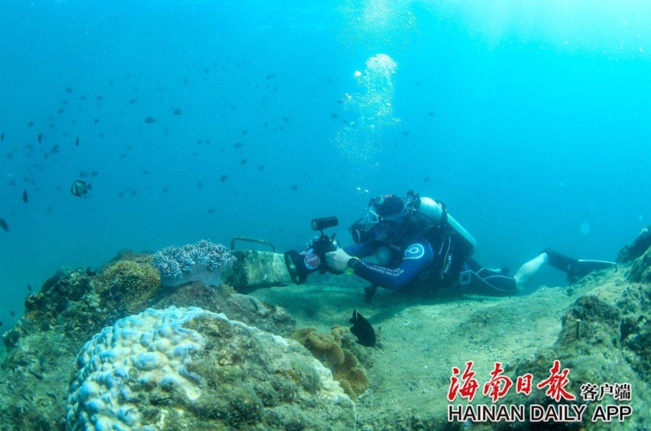 主公莫慌
